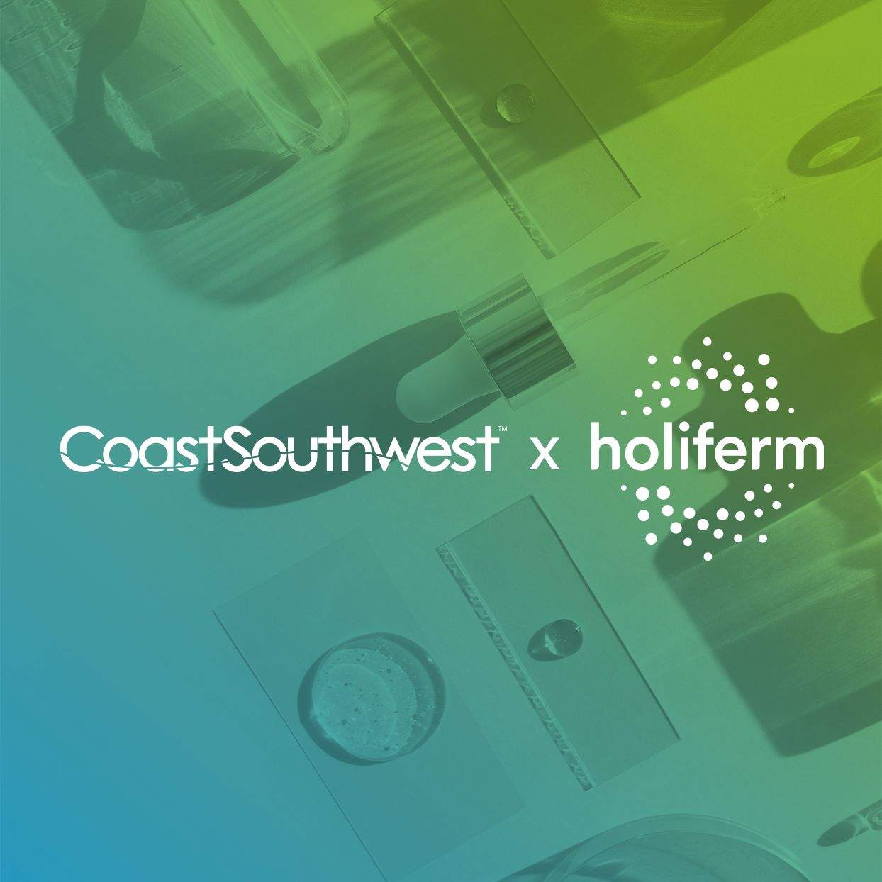 Coast Southwest x Holiferm